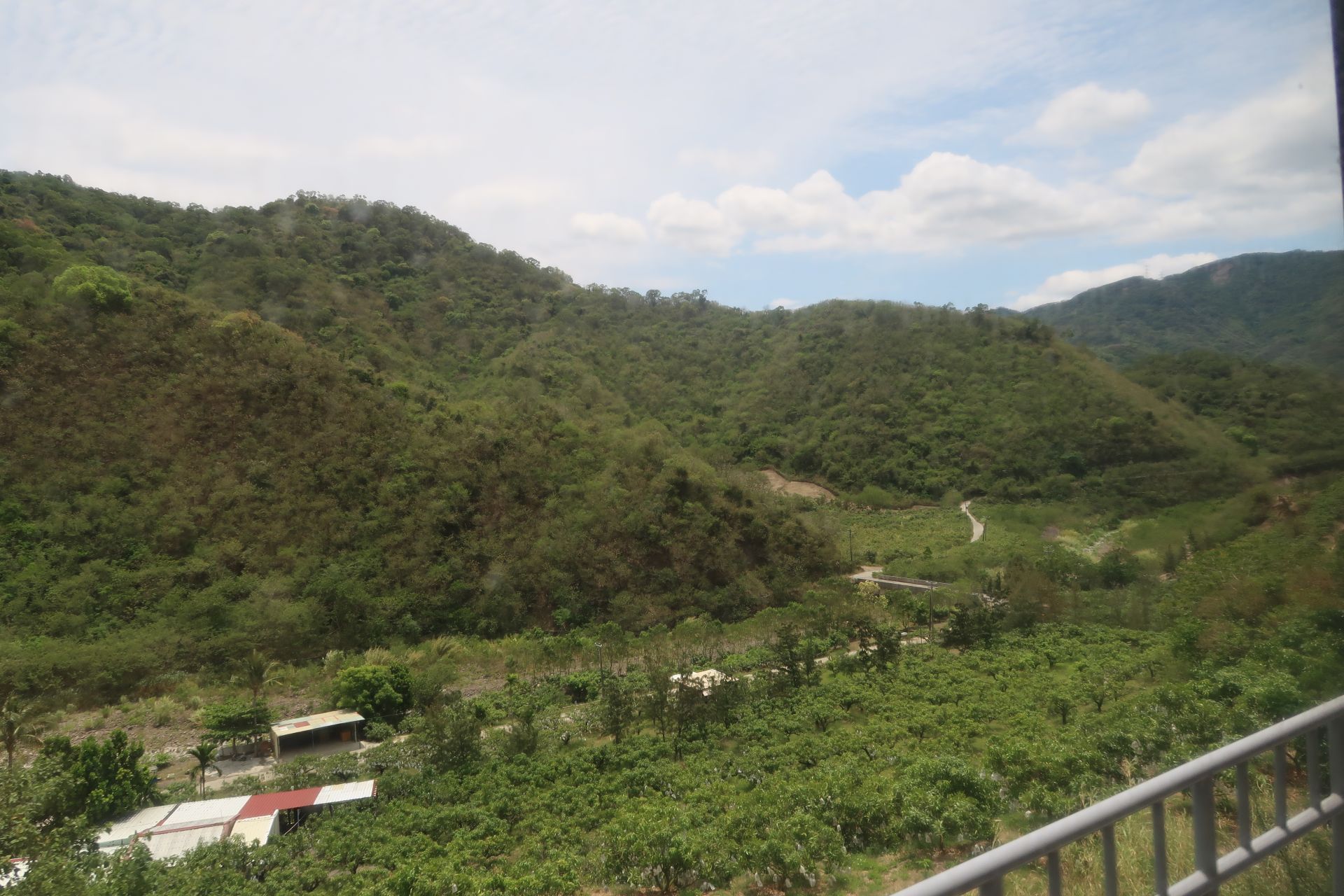 Zugfahrt durchs Grüne