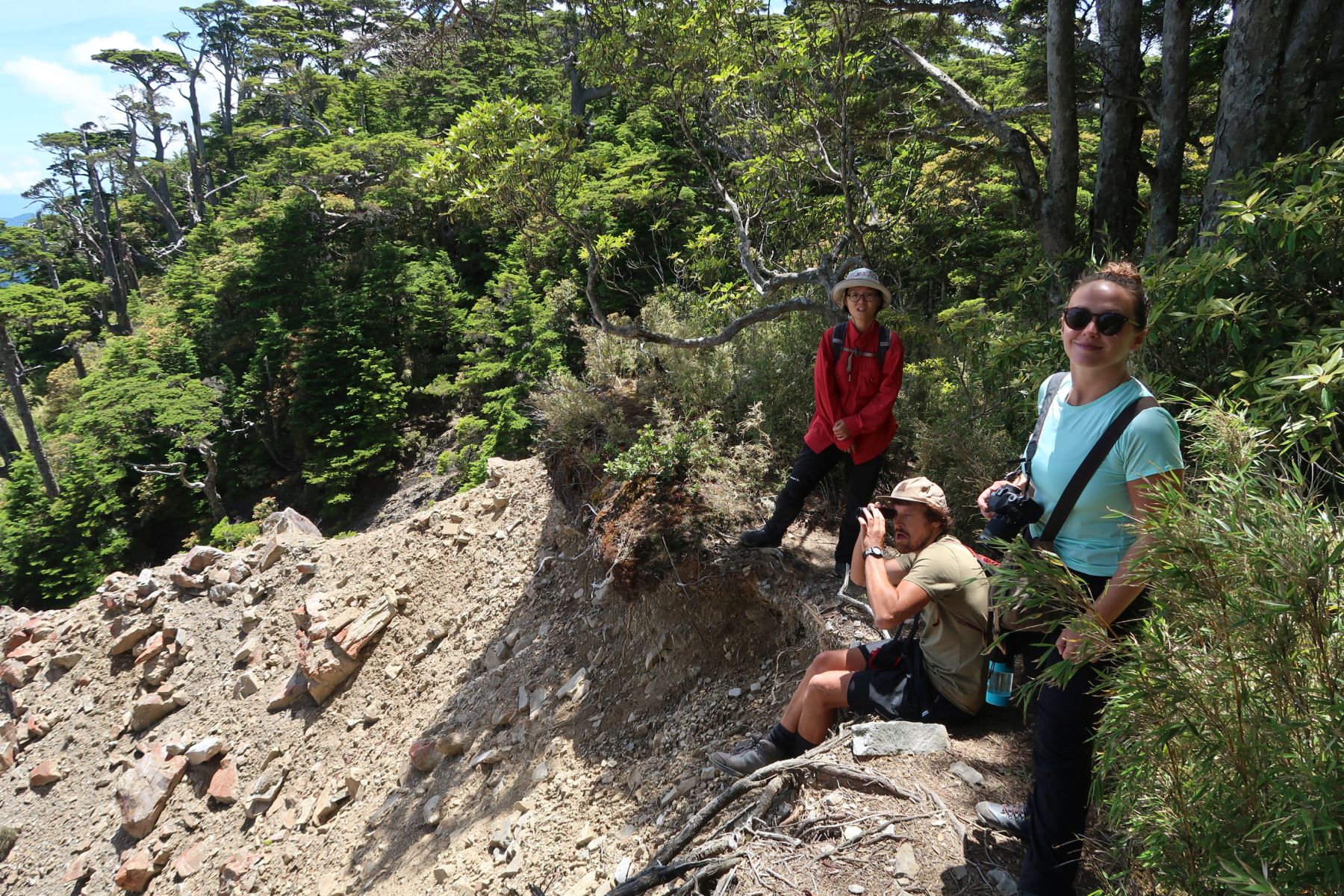 Drei Wanderer unterwegs