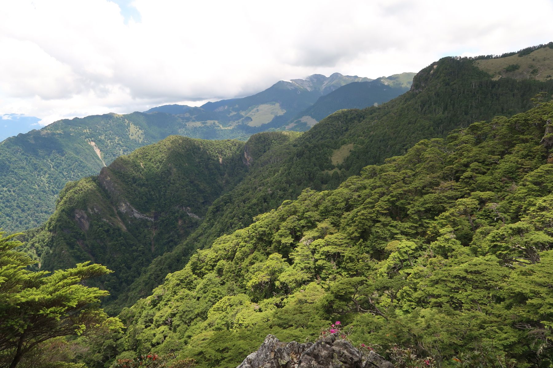 Aussicht auf die grüne Landschaft und die Berge