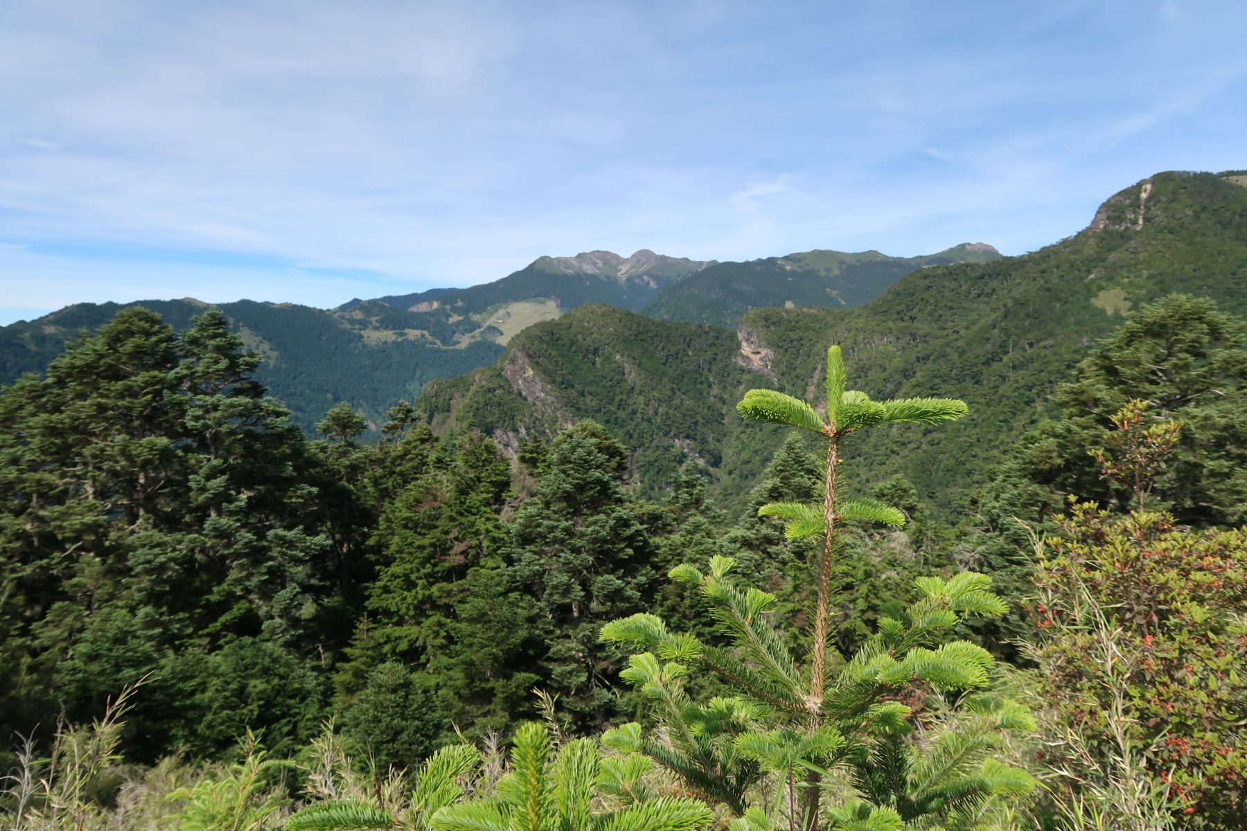 Blick auf umliegende Bergwelt im Shei-Pa National Park