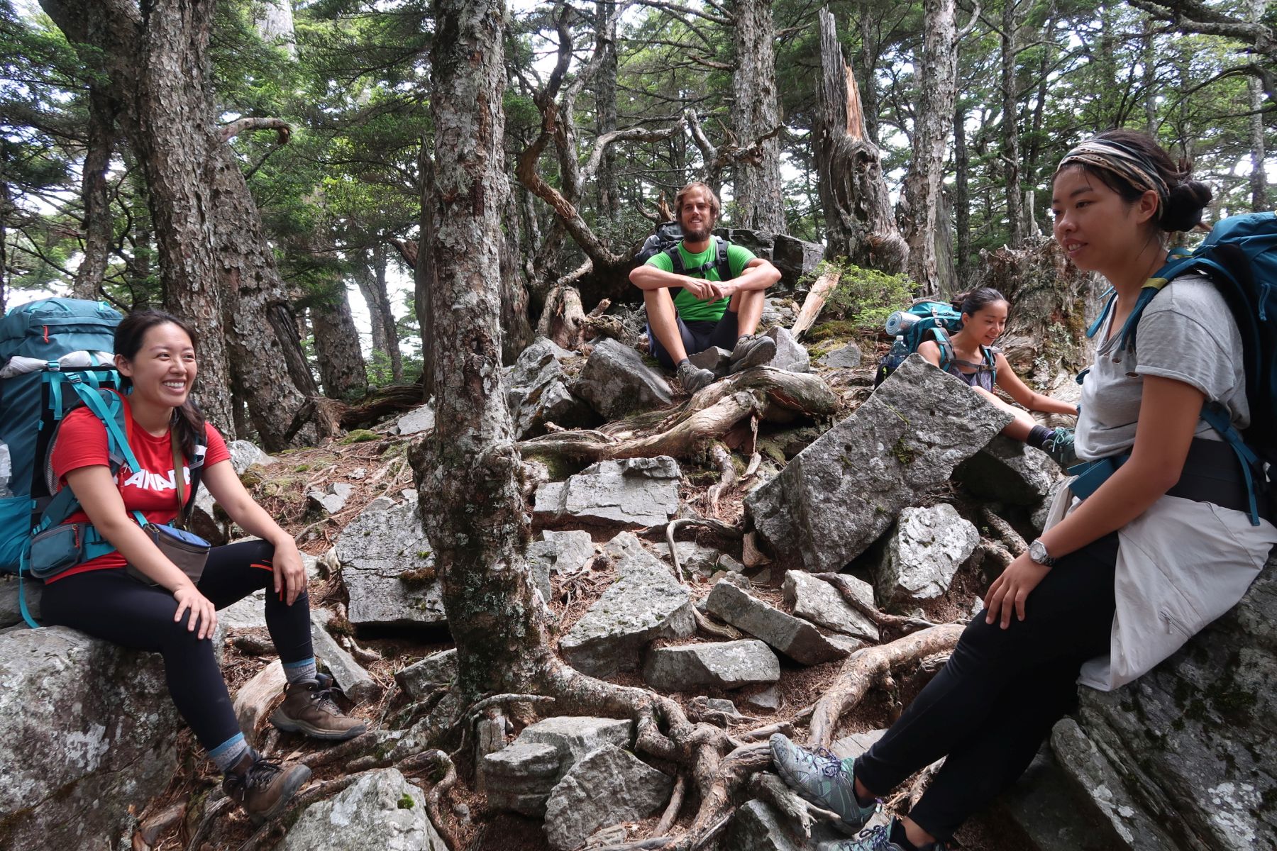 Vier Wanderer am Ausruhen im Wald