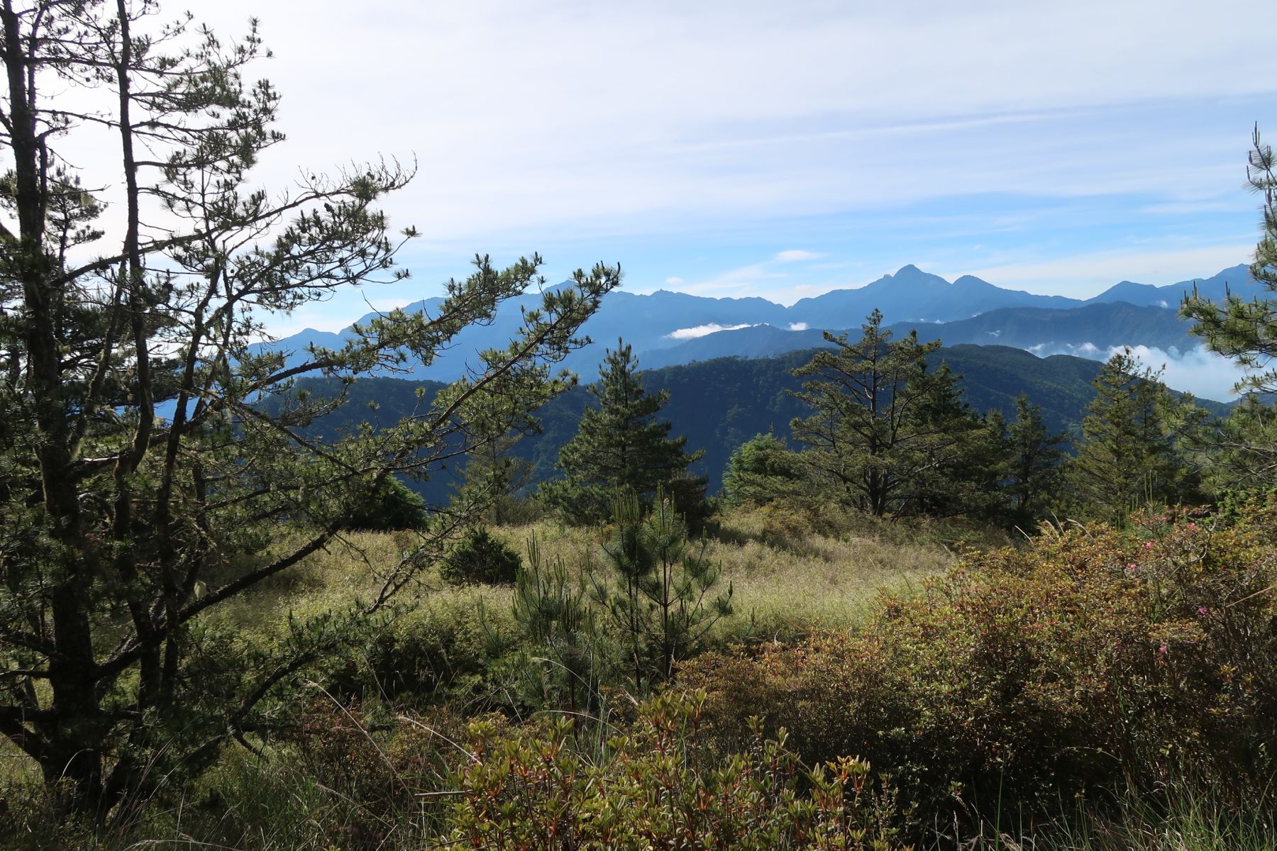 Aussicht auf Natur und Berge