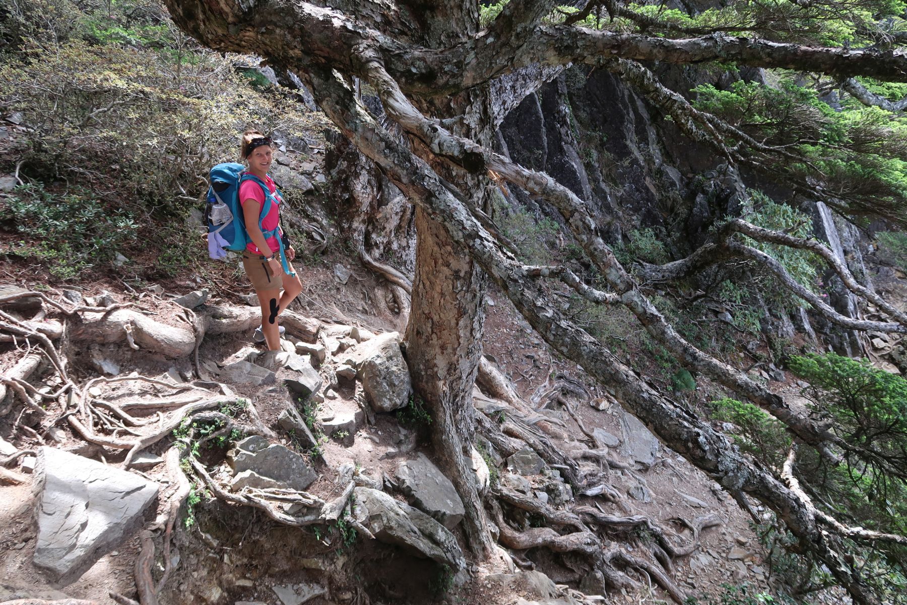 Wanderer geht über Stock und Stein