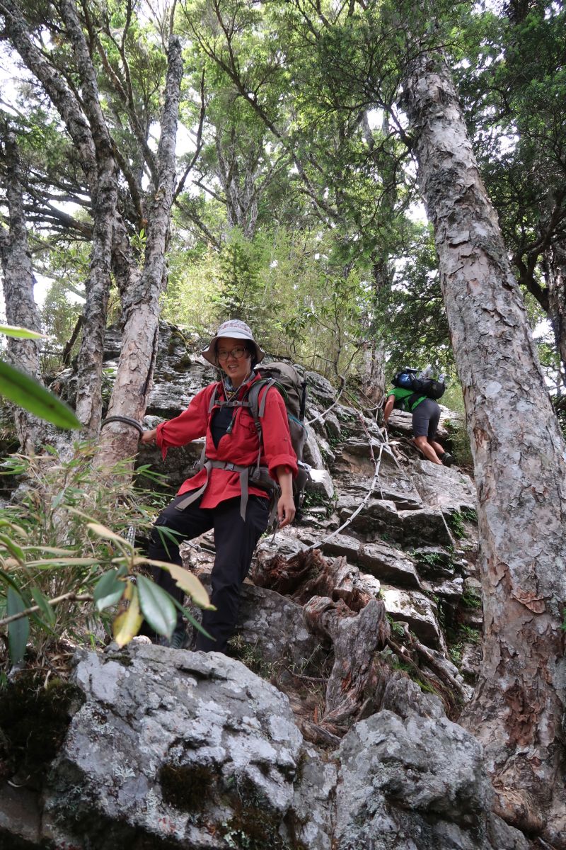 Wanderer nutzen Seile für den Abstieg
